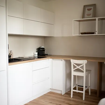 Apartment Male Lipno 10110